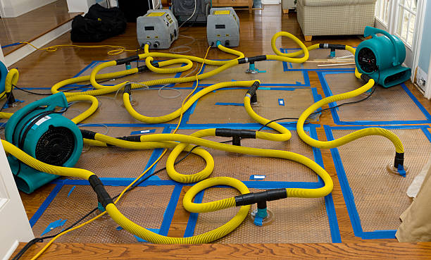 Professional Storm Water Damage Restoration technician working in Sandy Hook, MS